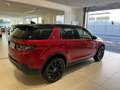 Land Rover Discovery Sport se Awd 163cv Mhev/diesel Rosso - thumbnail 3