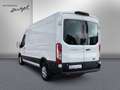Ford Transit Transit 350 L3H2 VA Trend,KLIMA,TEMP,NAVI,3SITZER Weiß - thumbnail 7