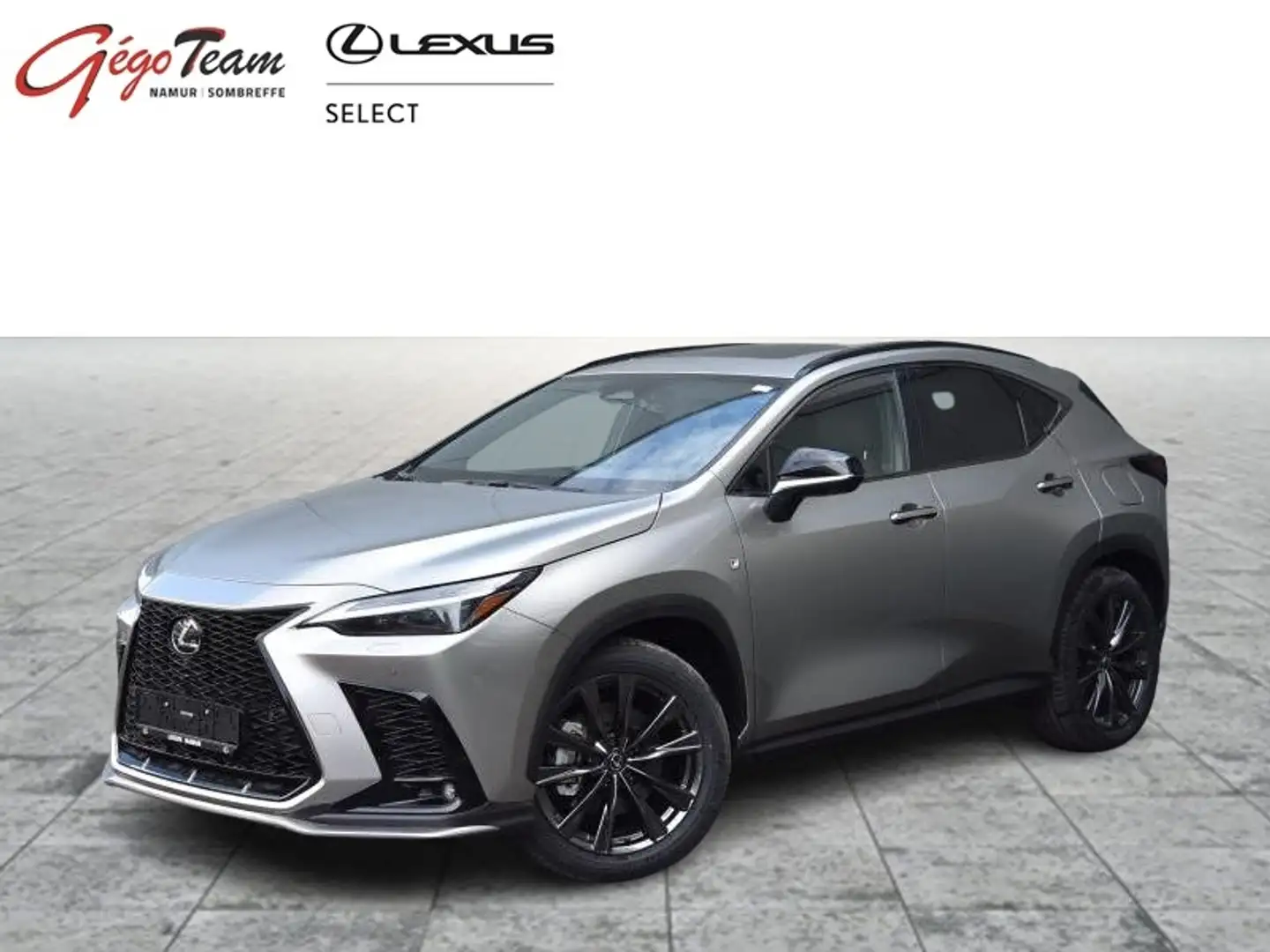 Lexus NX 450h+ F SPORT Line Gris - 1