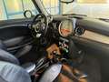 MINI Cooper Cabrio MINI CABRIO ** 2. Hand ** Weiß - thumbnail 10