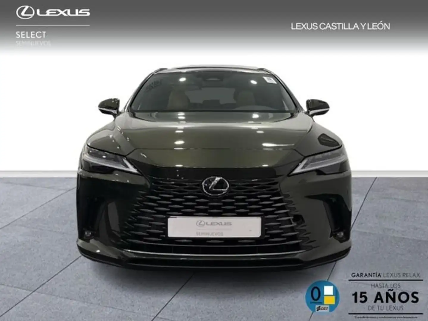 Lexus RX 450h 450h+ EXECUTIVE+ Verde - 2