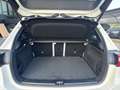 Mercedes-Benz B 180 d Executive Bianco - thumbnail 8