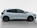Ford Focus 1,0 EcoBoost Hybrid Titanium Weiß - thumbnail 6