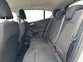 Ford Focus 1,0 EcoBoost Hybrid Titanium Weiß - thumbnail 13