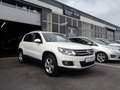 Volkswagen Tiguan 2.0 TDI Sport & Style BMT*PANO*Bi-XEN*AHK Weiß - thumbnail 1