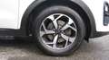Kia Sportage 1,6 CRDI SCR Silber 1.6 CRDi 116PS 2WD MT6 Blanc - thumbnail 8