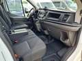 Ford Transit 350 Doka L3 L4 Trend RWD AHK KLIMA TEMPOMA Blanc - thumbnail 12