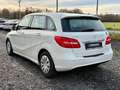 Mercedes-Benz B 180 BE Klima PDC 1.HAND  SPORTLENKRAD Sitzhzg Bianco - thumbnail 13