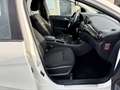 Mercedes-Benz B 180 BE Klima PDC 1.HAND  SPORTLENKRAD Sitzhzg Bianco - thumbnail 24