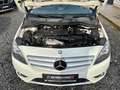 Mercedes-Benz B 180 BE Klima PDC 1.HAND  SPORTLENKRAD Sitzhzg Bianco - thumbnail 26