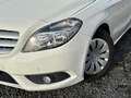 Mercedes-Benz B 180 BE Klima PDC 1.HAND  SPORTLENKRAD Sitzhzg Bianco - thumbnail 4