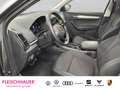 Skoda Karoq 1.5 TSI Selection AHK Lenkrad-heizbar Kamera Grau - thumbnail 9