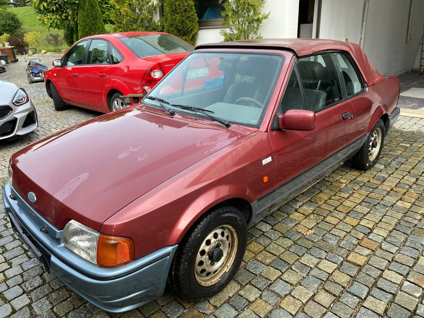 Ford Escort Escort XR3i Highlight Rot - 2