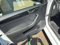 Skoda Rapid/Spaceback Rapid Spaceback 1,4 TDI Sport - thumbnail 10