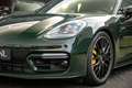 Porsche Panamera TURBO S E-HYBRID SPORTDESIGN+PTS+CARBON+3DCAMERA Groen - thumbnail 20