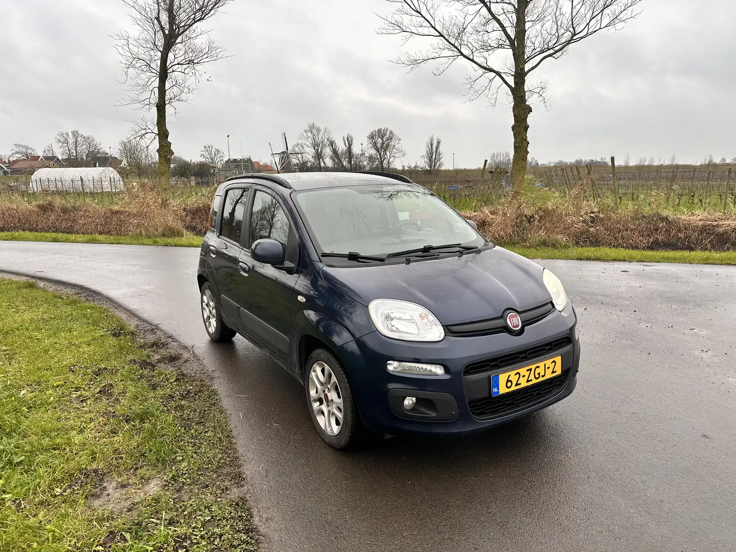 Fiat Panda 0.9 TwinAir Blauw - 2