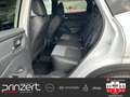 Nissan Qashqai 1.5 e-Power "N-Connecta" MY24*Winter*Komfort*PGD Weiß - thumbnail 14