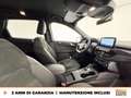 Ford Kuga 2.5 phev st-line x 2wd 225cv cvt Gris - thumbnail 7