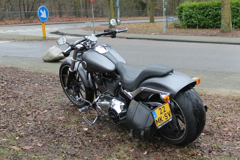 Harley-Davidson Softail - foto 7