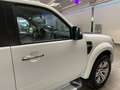 Ford Ranger 3,0 TDCI Wildtrak 4x4*Hardtop* Blanco - thumbnail 44