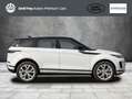 Land Rover Range Rover Evoque P300e SE White - thumbnail 6