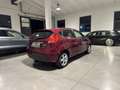Ford Fiesta Fiesta 1.4 TDCi 5p. Titanium Rosso - thumbnail 6