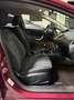 Ford Fiesta Fiesta 1.4 TDCi 5p. Titanium Rosso - thumbnail 12