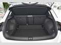 Volkswagen T-Roc United R-line 1.5 TSI DSG LED Navi 19"LM Weiß - thumbnail 15