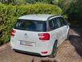 Citroen C4 Picasso C4 Picasso BlueHDi 120 6-Gang Exclusive Exclusive Weiß - thumbnail 2