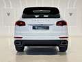 Porsche Cayenne Diesel Aut. Blanco - thumbnail 6