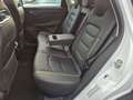 BAIC Senova X55 X 55 autom. Pano,ASS,Spurh. LED Weiß - thumbnail 21