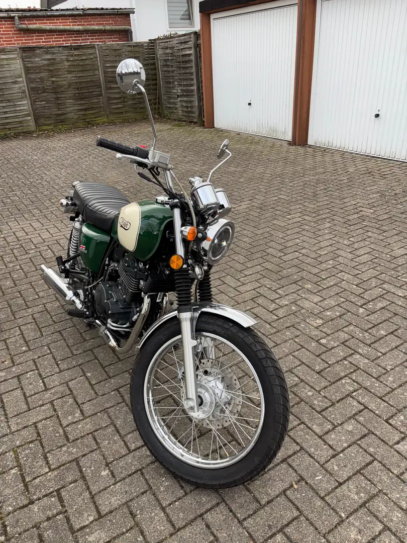Mash Five Hundred 400 Verde - 2