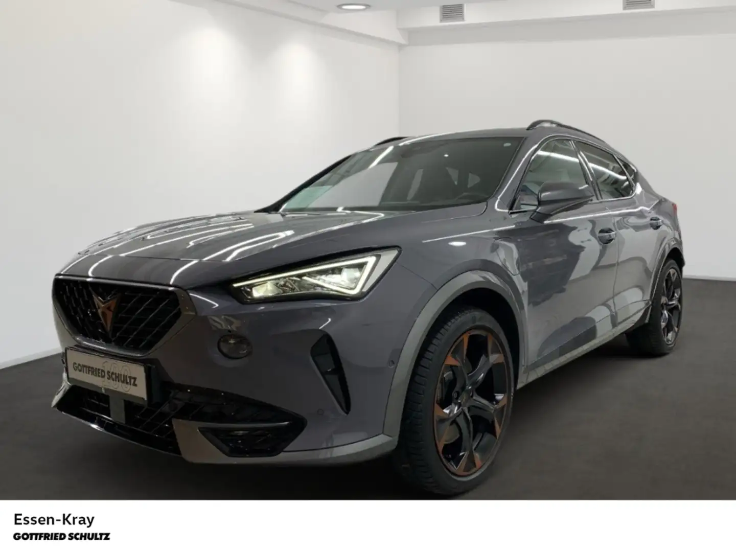 CUPRA Formentor VZ 1.4 e-Hybrid AHK Pano LED Kamera Grau - 1