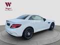 Mercedes-Benz SLC 43 AMG *NIGHT*RCAM*LEDER*PANO*LED* Blanco - thumbnail 26