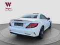 Mercedes-Benz SLC 43 AMG *NIGHT*RCAM*LEDER*PANO*LED* Blanco - thumbnail 10