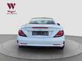 Mercedes-Benz SLC 43 AMG *NIGHT*RCAM*LEDER*PANO*LED* Weiß - thumbnail 29