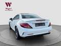 Mercedes-Benz SLC 43 AMG *NIGHT*RCAM*LEDER*PANO*LED* Blanco - thumbnail 30