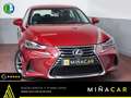 Lexus IS 300 300h Business Rot - thumbnail 1