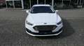Ford Mondeo Turnier Business Edition/8xAlu/AHK/Navi Weiß - thumbnail 8