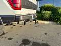 Ford F 150 RAPTOR SUPERCREW V6 3,5L EcoBoost Blanc - thumbnail 28