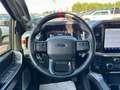 Ford F 150 RAPTOR SUPERCREW V6 3,5L EcoBoost Blanc - thumbnail 16