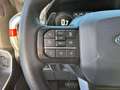Ford F 150 RAPTOR SUPERCREW V6 3,5L EcoBoost Blanc - thumbnail 17
