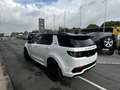 Land Rover Discovery Sport R-DYNAMIC SE PHEV Wit - thumbnail 7