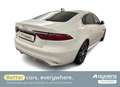 Jaguar XF P250 - thumbnail 2