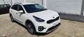 Kia Niro Niro+1.6+gdi+hev+Evolution+s/Lounge+Pack+dct Bianco - thumbnail 13