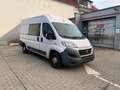 Fiat Ducato 130 L2H2 RS: 3450 mm Weiß - thumbnail 1