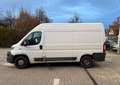 Fiat Ducato 130 L2H2 RS: 3450 mm Weiß - thumbnail 4