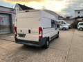 Fiat Ducato 130 L2H2 RS: 3450 mm Weiß - thumbnail 7