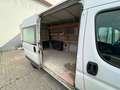 Fiat Ducato 130 L2H2 RS: 3450 mm Weiß - thumbnail 19