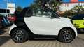smart forTwo Cabrio DCT WHITE & BLACK EDITION! Weiß - thumbnail 10